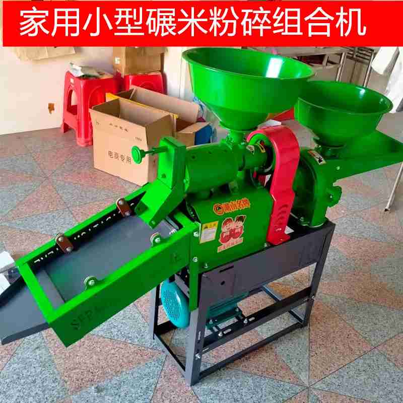 境外邮轮旅客游览上海